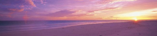 armt's header image