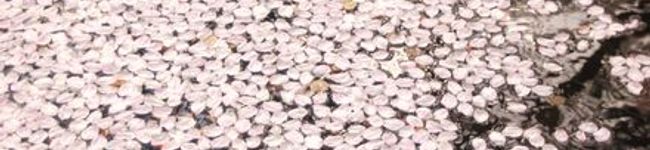 maronyuko's header image