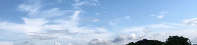 neiro2530's header image