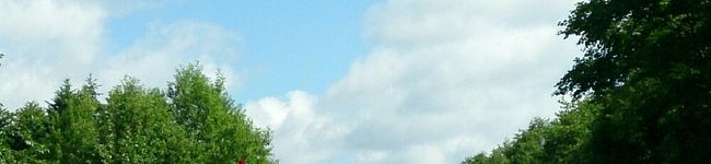 MAME75's header image