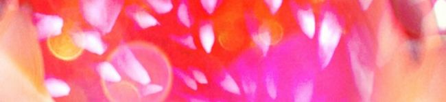 Waabisuke's header image