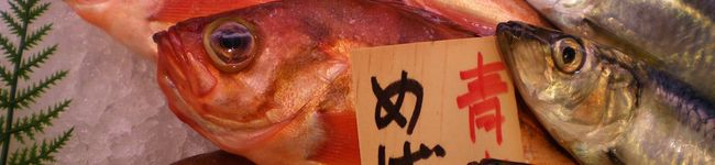お魚キッチン's header image