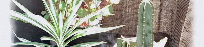 管理栄養士＊MR＊'s header image