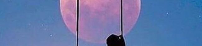 アイりにゃん's header image