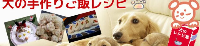 ちょこたんママ's header image