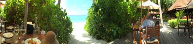 LiCALiCA05's header image