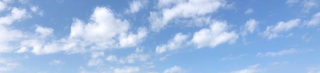 給食のアイ先生's header image