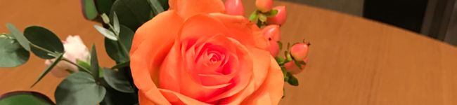 1pink5's header image