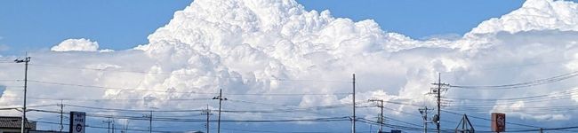 misarin♡'s header image
