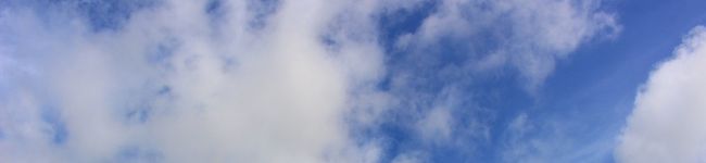 mas2yu's header image