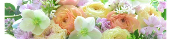 ミィ花's header image