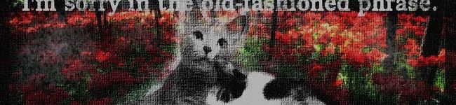 ggggnonaka's header image