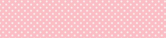 めいぷるうさぎ's header image