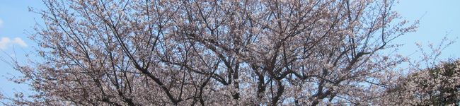 kumatom's header image