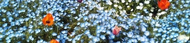 kana叶's header image