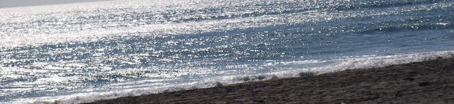 つっきーLOVE's header image