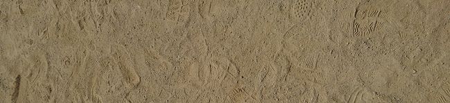 mo29's header image