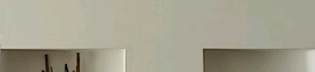 sakuponpon's header image