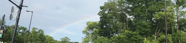 べっつぃー's header image