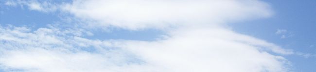 youyou905h's header image
