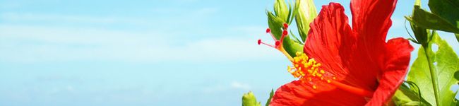 *Marilyn's header image