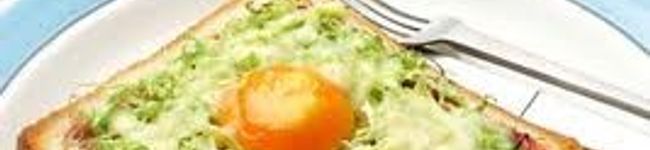 健美食の生活's header image