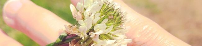 pikonene's header image
