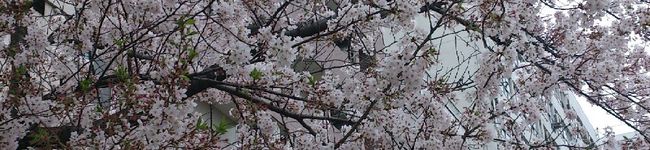 三児のママ♪'s header image