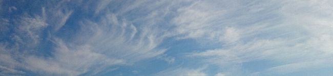 高田明希's header image