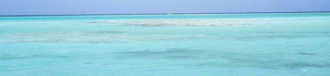 mamitaaass's header image