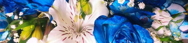 ▽appi＊'s header image