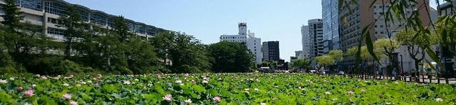 ヨッチん家's header image