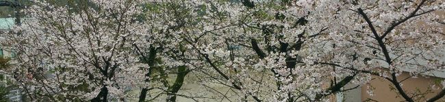 アーカイヴ's header image