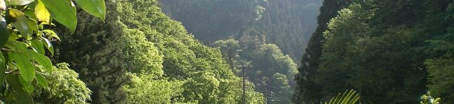こげちゃろ's header image