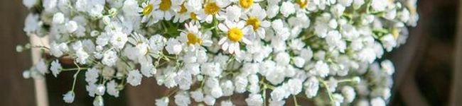 kasumon☺'s header image