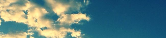 yummymy's header image