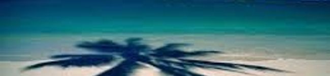 ☆まるうさぎ★≡＝—'s header image