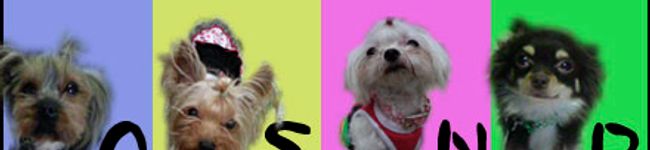 ♡みぃちゃん♡'s header image