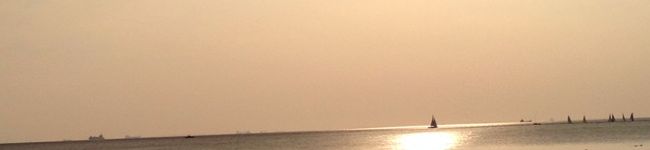 なお041176's header image