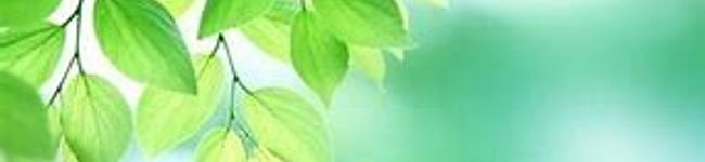 くつろぎの食卓's header image