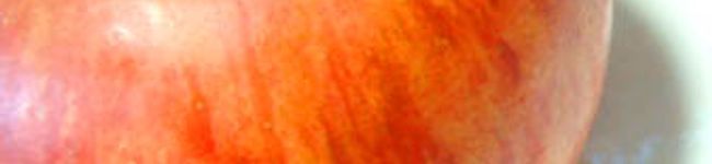 yakiringo's header image