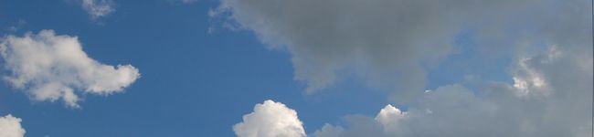 h_ashed's header image