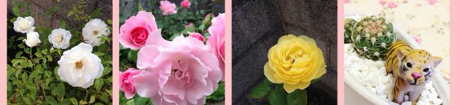 もぐもぐ人's header image