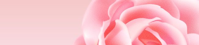 ﾙﾅﾙﾅ2001's header image