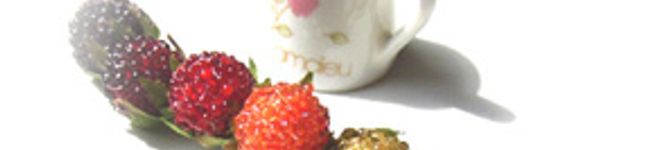 はっぴぃまにあ's header image