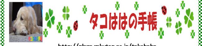 タコはは's header image