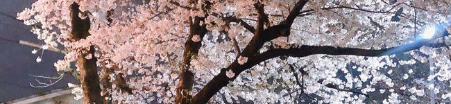 neneatsu's header image