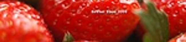 ｾｲﾗ's header image