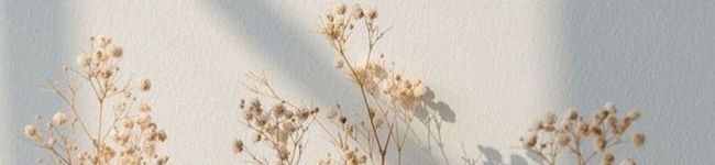 아즈사's header image