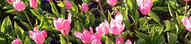 CREA0908's header image